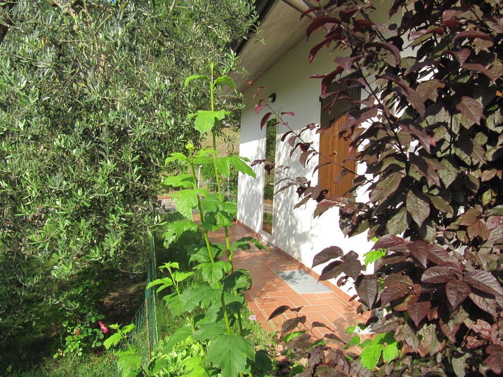 B&B La Poiana Canavaccio di Urbino Экстерьер фото